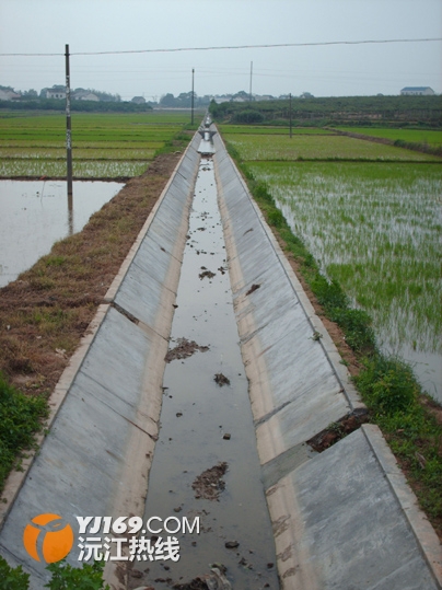 国产AV熟女一区二区三区