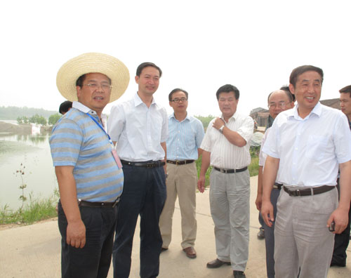 国产AV熟女一区二区三区