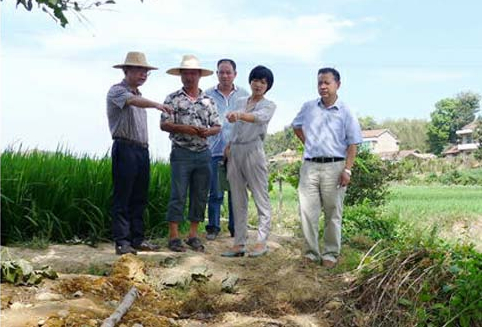 国产AV熟女一区二区三区