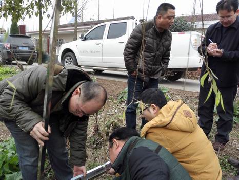 国产AV熟女一区二区三区