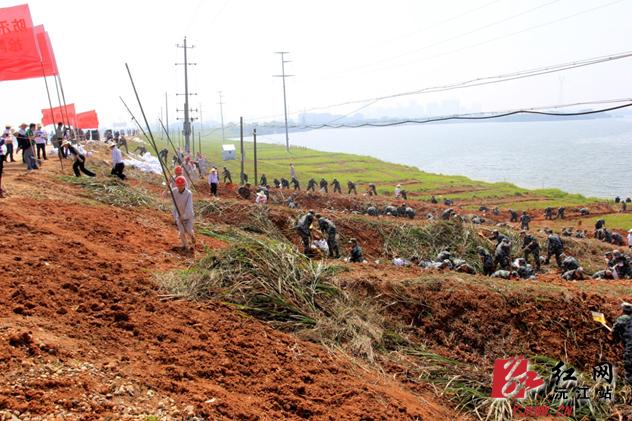 国产AV熟女一区二区三区