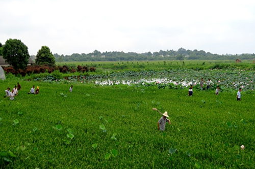 国产AV熟女一区二区三区