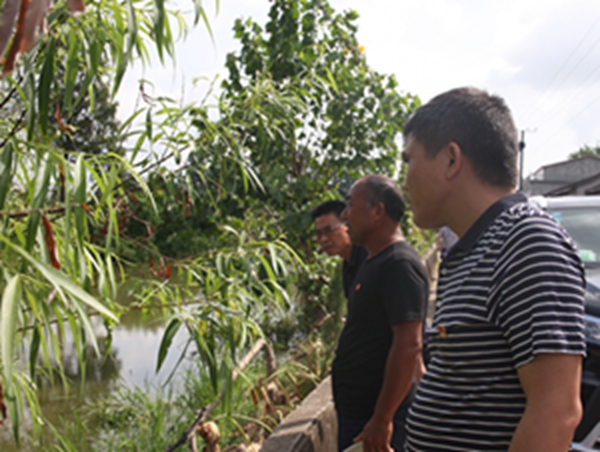 国产AV熟女一区二区三区