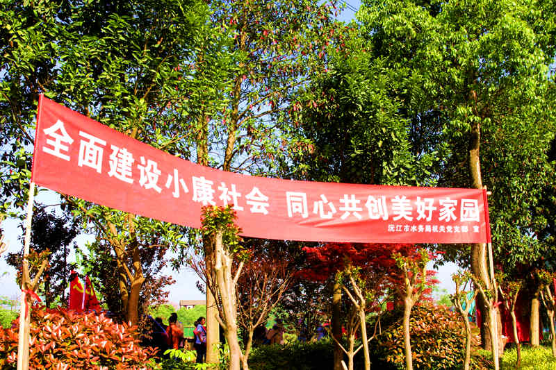 国产AV熟女一区二区三区