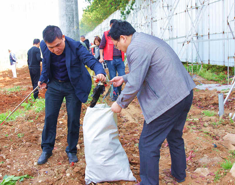 国产AV熟女一区二区三区