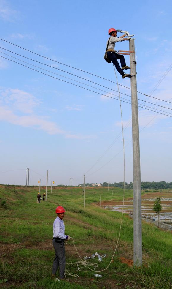 国产AV熟女一区二区三区
