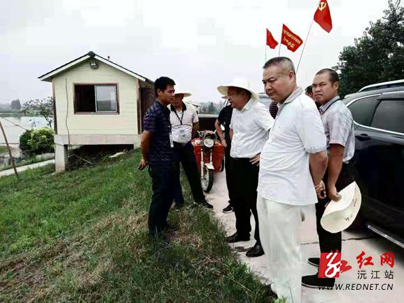 国产AV熟女一区二区三区