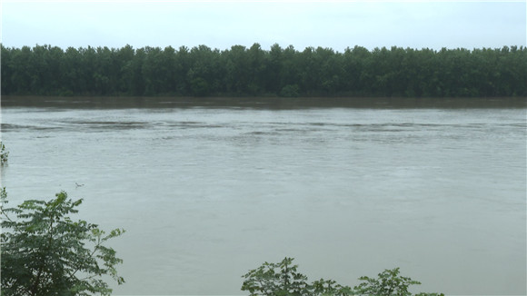 国产AV熟女一区二区三区