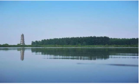 国产AV熟女一区二区三区