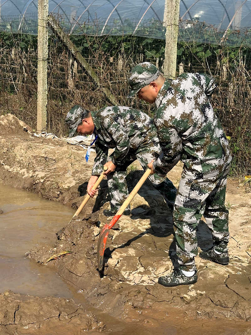 国产AV熟女一区二区三区